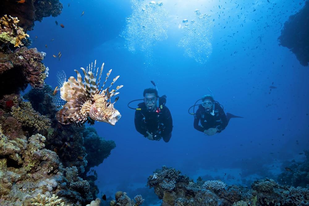 Turtle'S Inn Hotel Hurghada Bagian luar foto