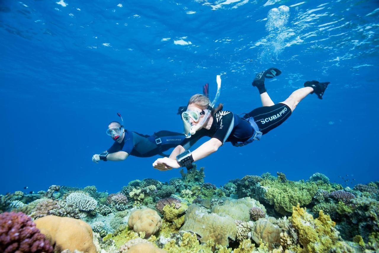 Turtle'S Inn Hotel Hurghada Bagian luar foto
